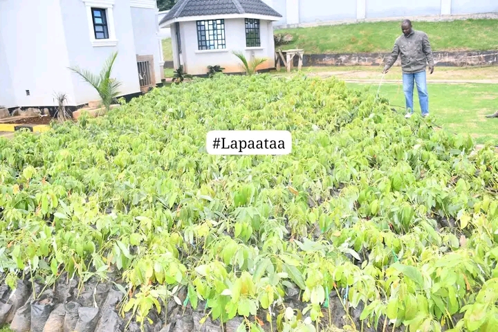 Sustainable Farming Practices